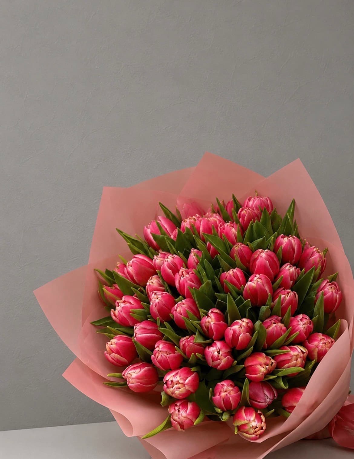 Pioen Tulpen