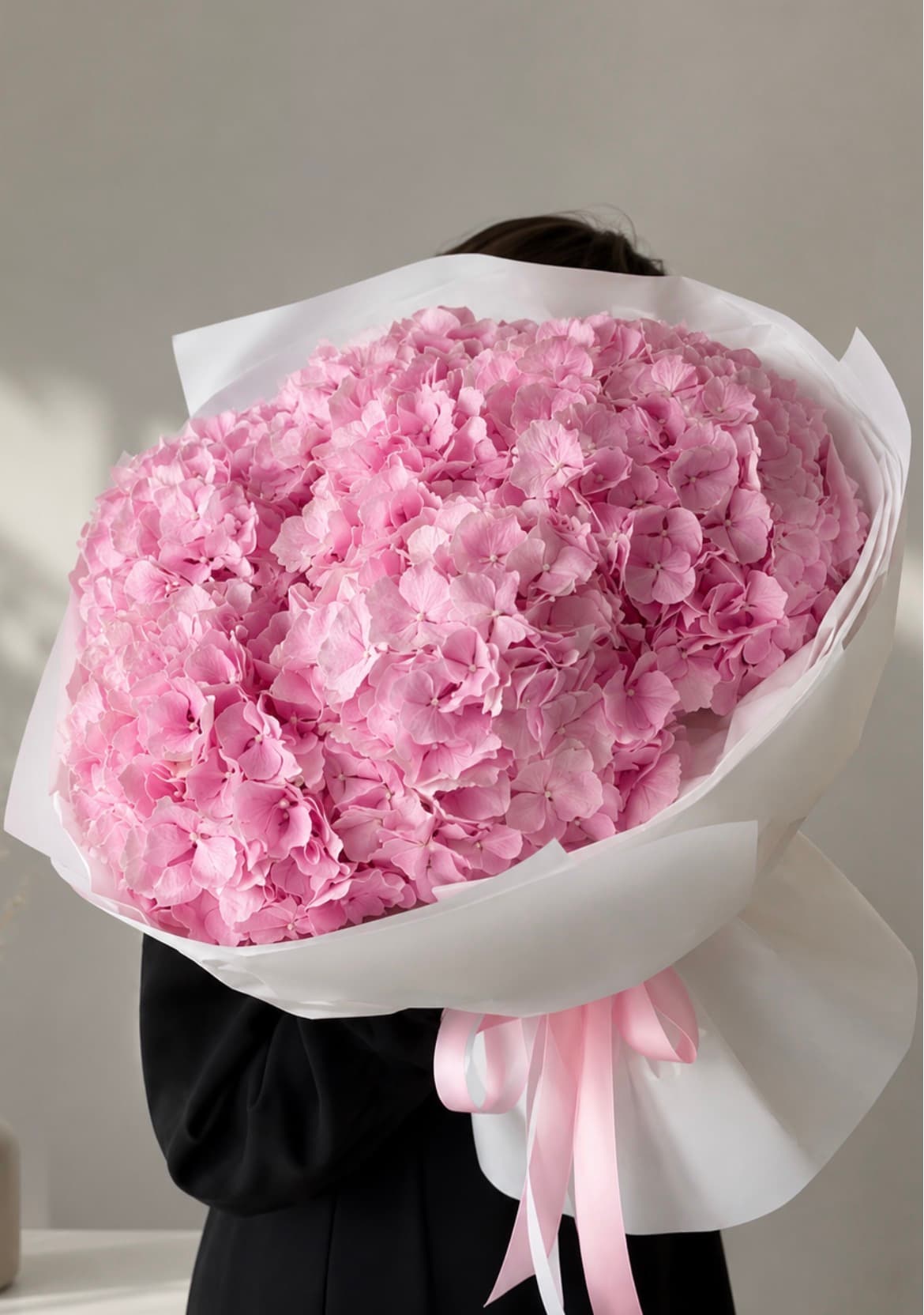 Delicate hortensia's